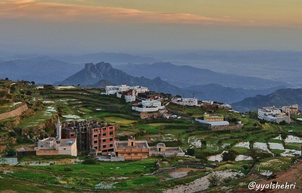 صورة من أرشيف الصندوق 2